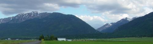 A view of the beautiful Eagle Cap Mountains through our field!