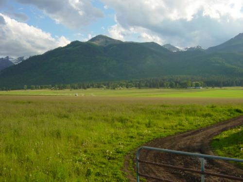 This is a view of the mountains through the field! 