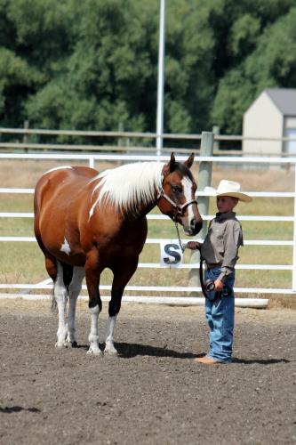 My young cowboy~ man of my dreams and Fancy at county fair! 