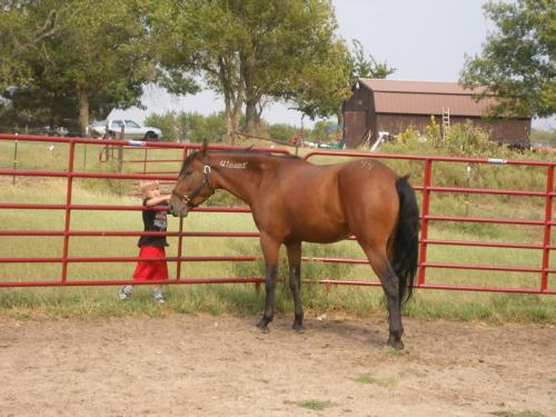 My son Jalyn and Chance the mustang that I trained for the Extreme Mustang Challenge.  